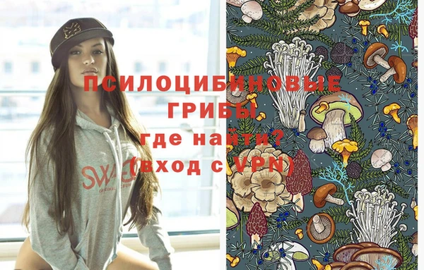 спиды Бугульма