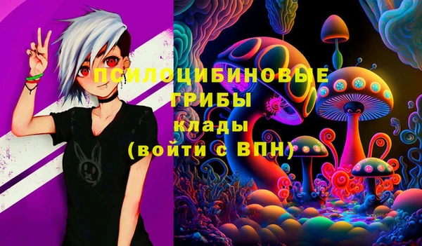 мдма Бородино