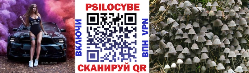 Купить  Нарьян-Мар  Псилоцибиновые грибы MAGIC MUSHROOMS 